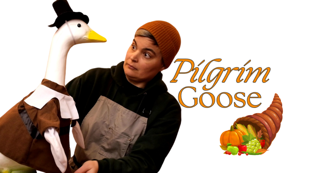 Pilgrim Outfit for Porch Goose